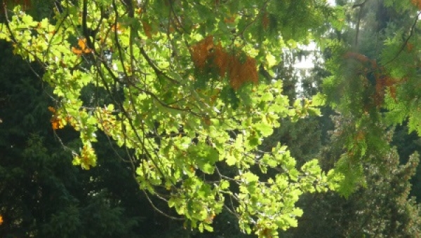 Mai und Maria im KZ Dachau