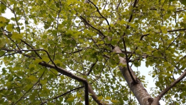 Interview mit Herbert Köhler