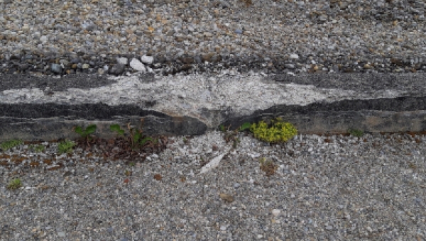 Katholische Kirche half römischen Juden