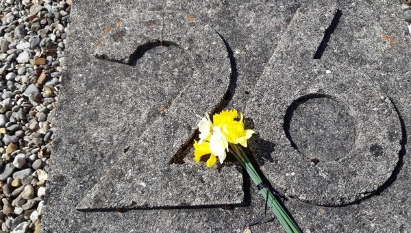 Neue polnische Texte